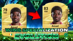 Wing Specialization Evolution