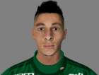 Face Diogo Barbosa - Palmeiras